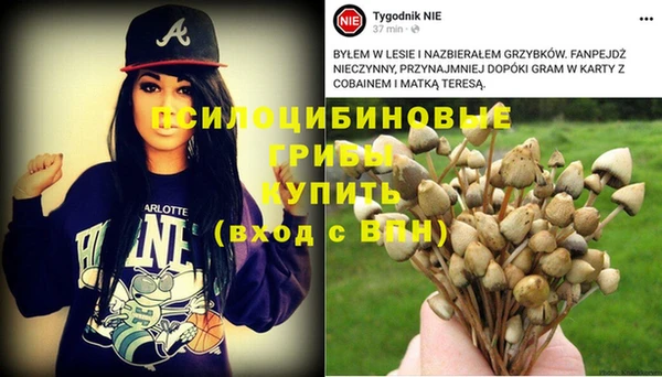 молекула духа Усинск